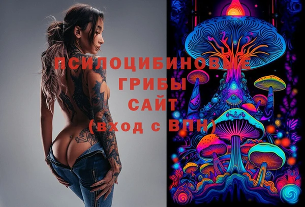 спиды Зерноград